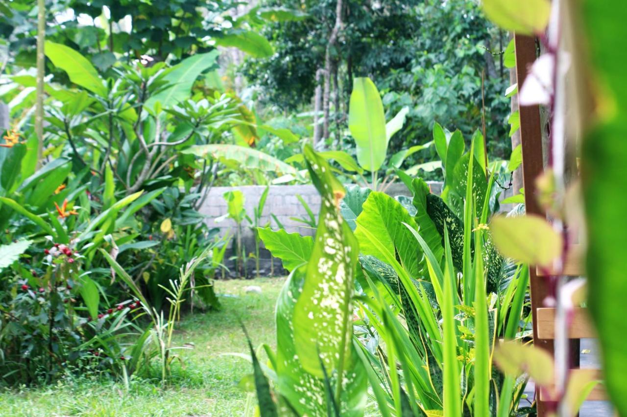 Jungle House - Surf & Stay ปูลูกาน ภายนอก รูปภาพ