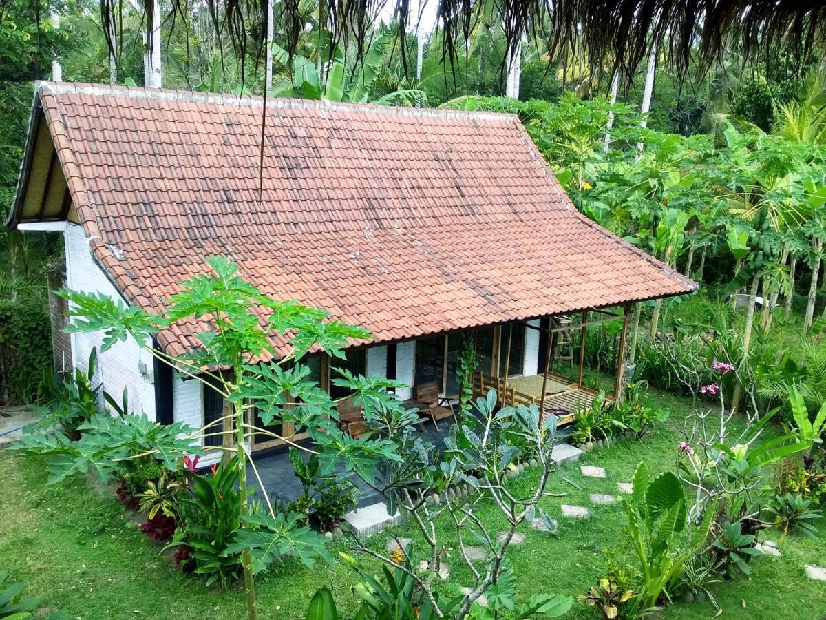 Jungle House - Surf & Stay ปูลูกาน ภายนอก รูปภาพ