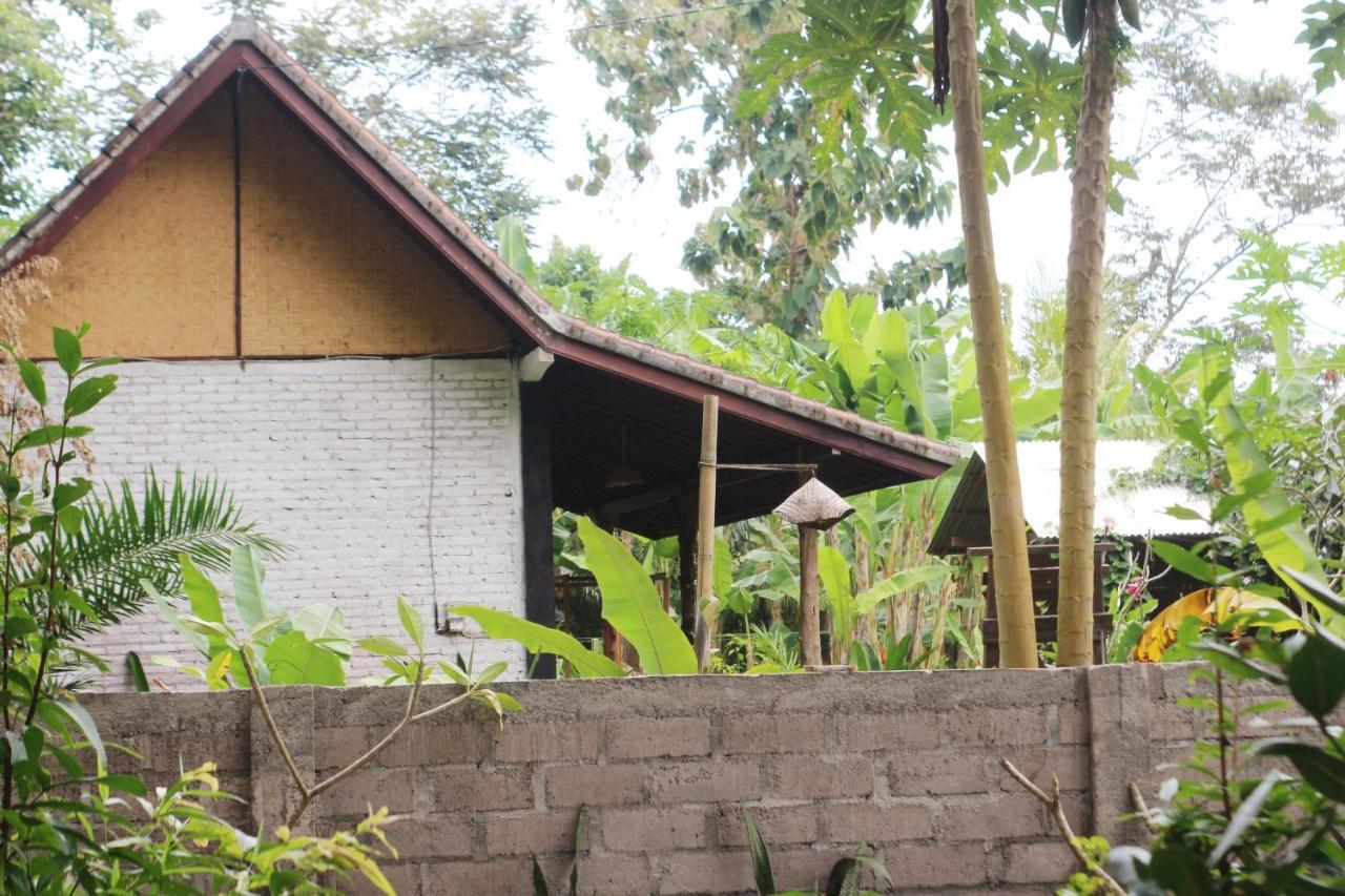 Jungle House - Surf & Stay ปูลูกาน ภายนอก รูปภาพ