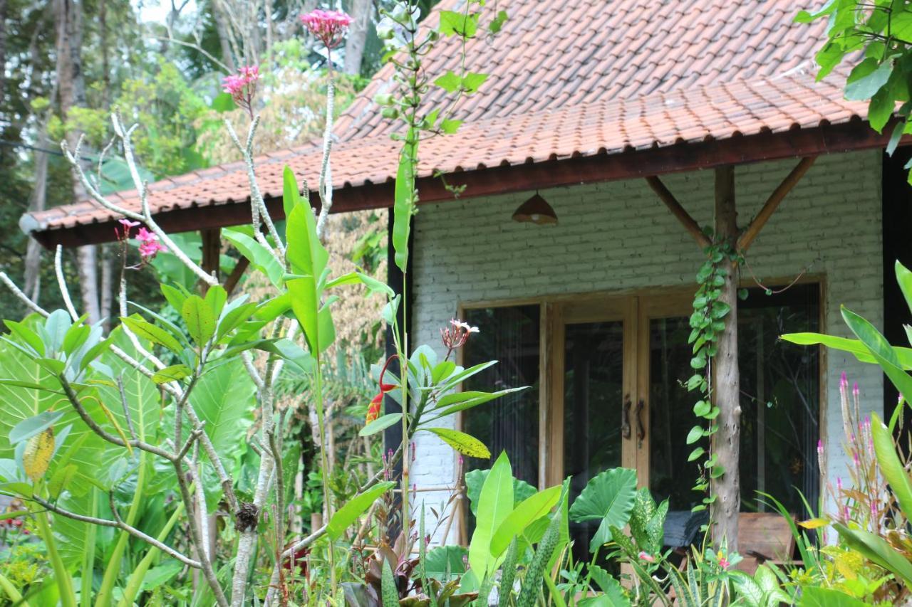 Jungle House - Surf & Stay ปูลูกาน ภายนอก รูปภาพ