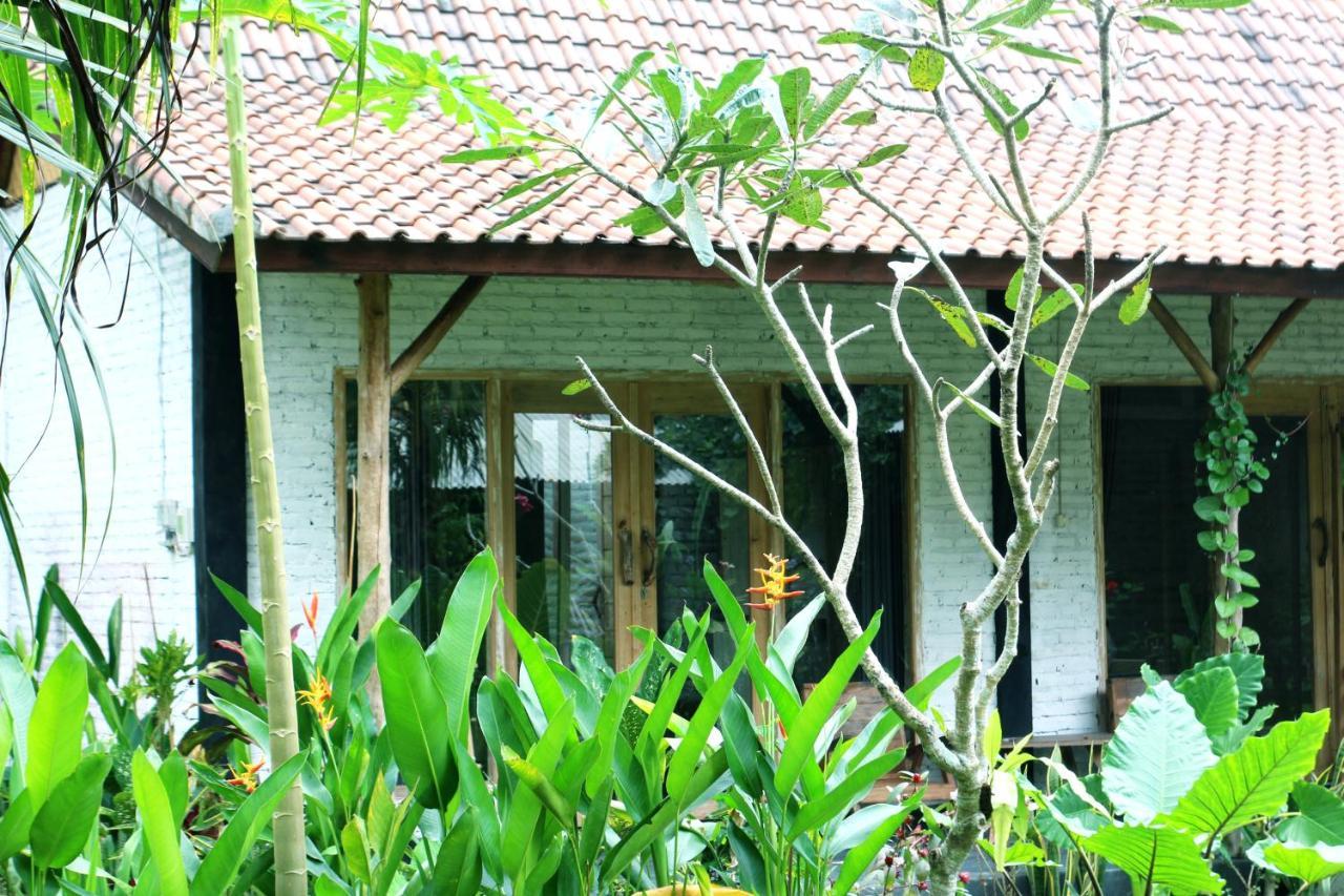 Jungle House - Surf & Stay ปูลูกาน ภายนอก รูปภาพ