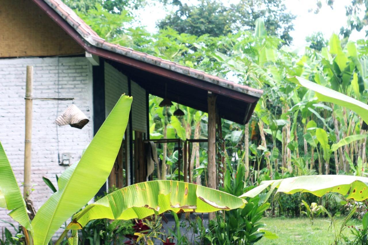 Jungle House - Surf & Stay ปูลูกาน ภายนอก รูปภาพ