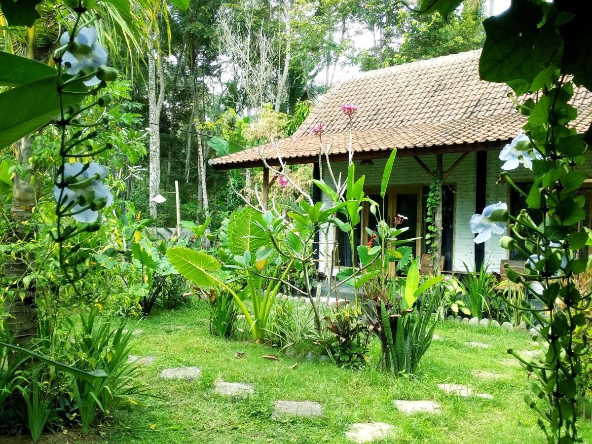 Jungle House - Surf & Stay ปูลูกาน ภายนอก รูปภาพ
