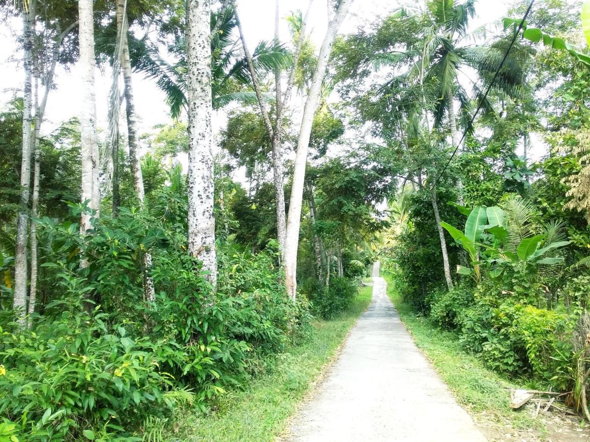 Jungle House - Surf & Stay ปูลูกาน ภายนอก รูปภาพ