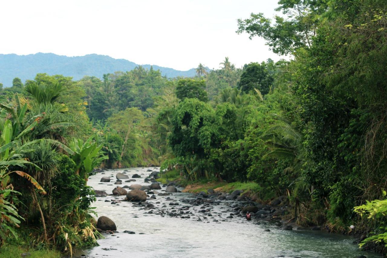 Jungle House - Surf & Stay ปูลูกาน ภายนอก รูปภาพ