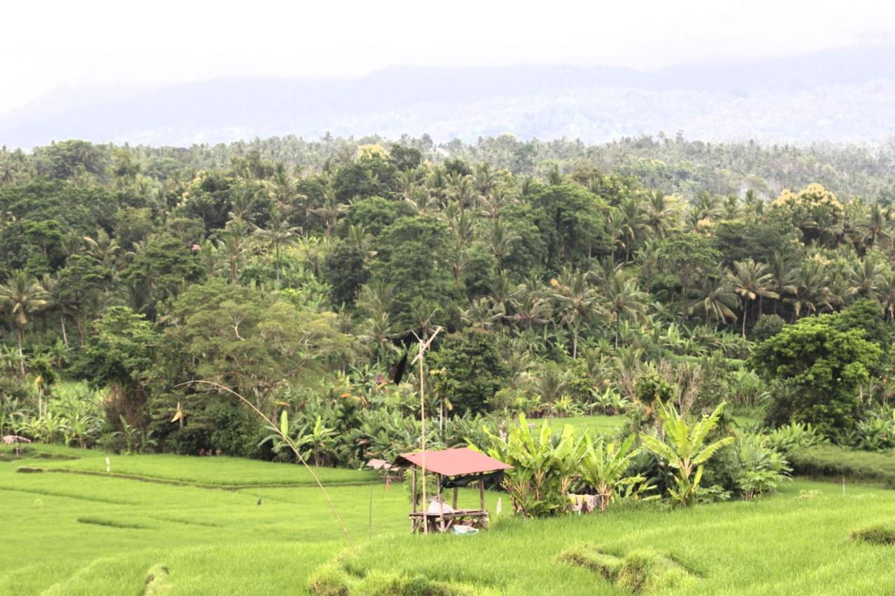 Jungle House - Surf & Stay ปูลูกาน ภายนอก รูปภาพ
